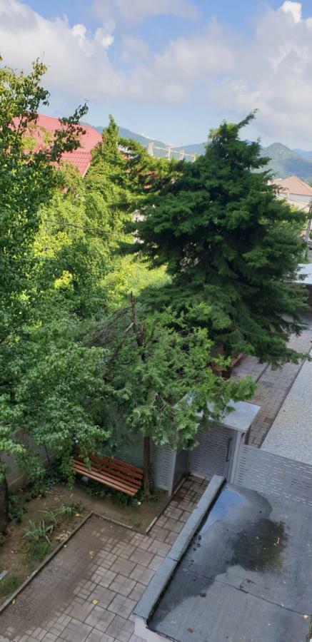 Exclusive Hortensiei Baia Mare Buitenkant foto